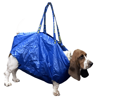 dog ikea bag