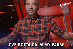 Calm Down The Voice GIF by The Voice Australia