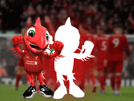 Premier League Game GIF by Liverpool FC