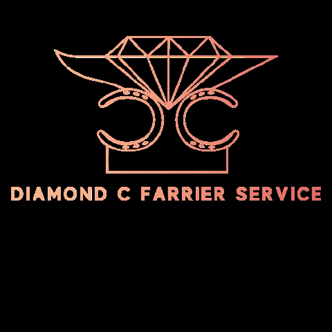 FormaHoofLtd farrier dcf diamondcfarrier GIF