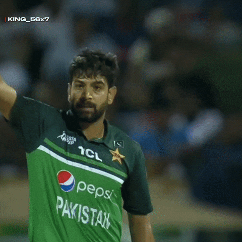 Lahore Qalandars Haris GIF