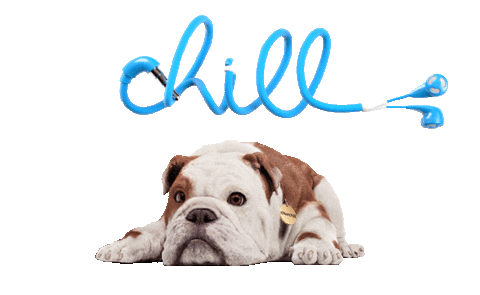 Churchill Gifs Find Share On Giphy