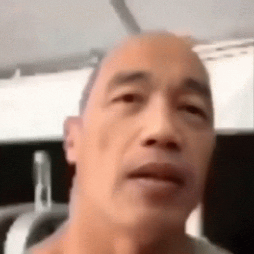 Sus GIF