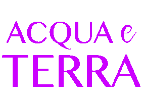 Happy Pink Sticker by acquaeterra