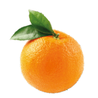Appelsientje Sticker