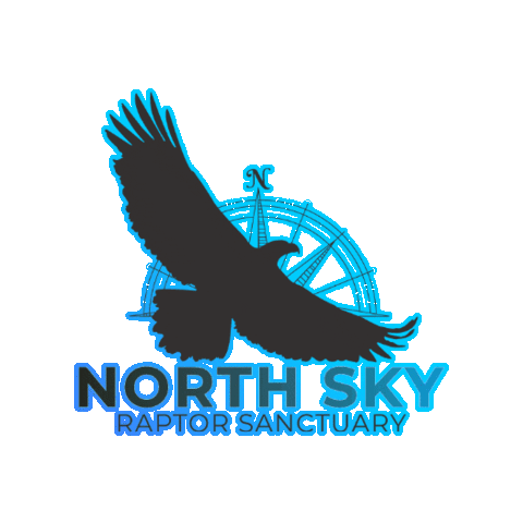 NorthSkyRaptor Sticker