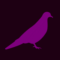 When Doves Cry Prince GIF by mtv - Find &amp; Share on GIPHY