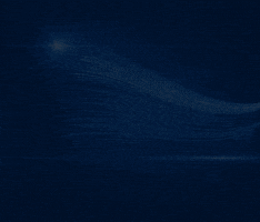 Cyber Security Companies In Calgary GIF