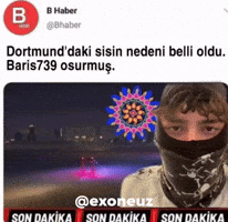 739 GIF