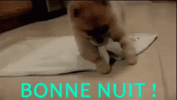 Bonne Nuit GIF by memecandy