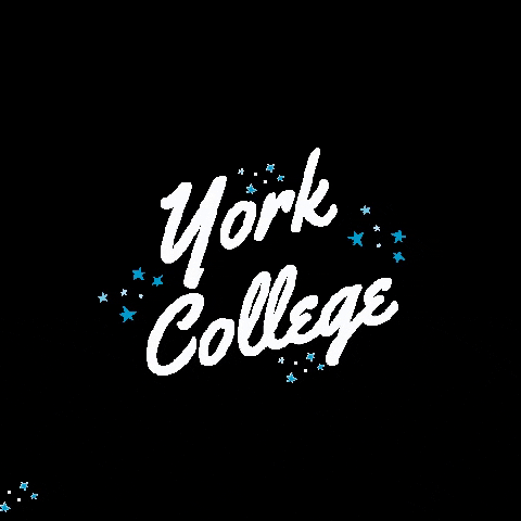 yorkcollegeneb GIF