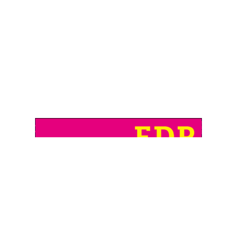 FDP Düsseldorf Sticker