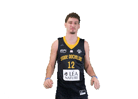 Basket Allard Sticker by Stade Rochelais