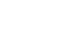 Passafire Sticker