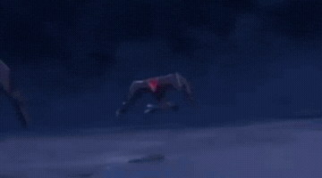 Sonic The Hedgehog Fight GIF