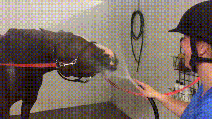 https://media0.giphy.com/media/VdvFRrmbAzsME/giphy.gif