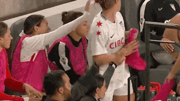 High Five Chicago Red Stars GIF by National Women's Soccer League