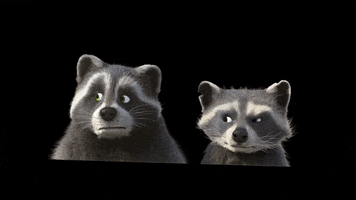Mighty Mike Racoons GIF by TeamTO