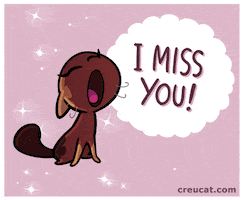 Cat GIF