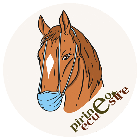 Horse Pirineos Sticker by Pirineo Ecuestre