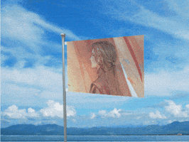 Flag Danmei GIF
