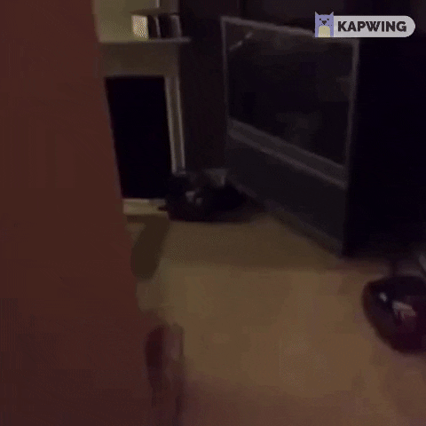 Croissant GIF