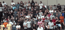 GIF by Brown Volleyball