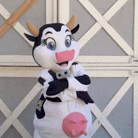 Dancing-cow GIFs - Get the best GIF on GIPHY