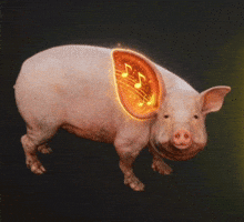 Becomeanobody Pih 2 Listening Peak GIF