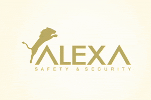 Alexa_safety_security alexasafetysecurity security alexa GIF
