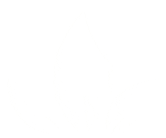 Body Health Sticker