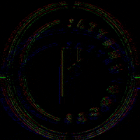 GIF by Pattent Goods