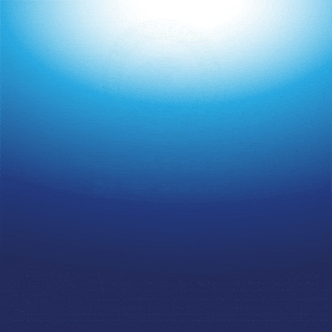 Otc GIF by Instituto Brasileiro de Petróleo e Gás