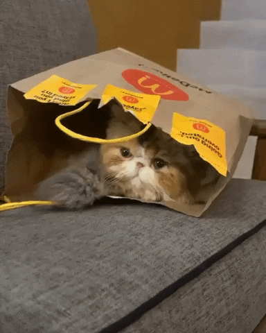 Fast Food Kitty Cat GIF by The Art Plug