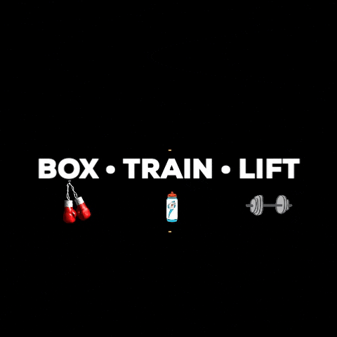 Fitbox Workout GIF
