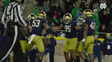 High Five Nd Football GIF by Notre Dame Fighting Irish