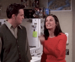 They Dont Know Season 5 GIF by Friends