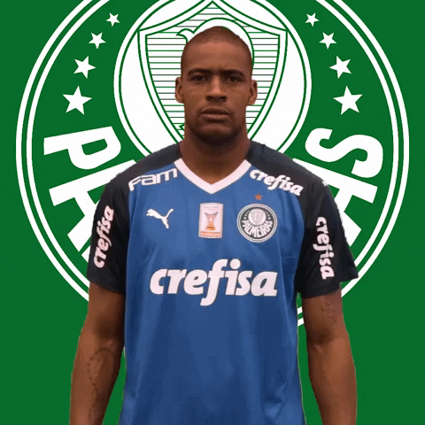 Palmeiras soccer no nope futebol GIF