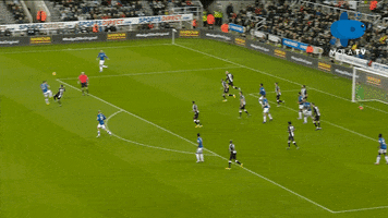 Everton Newcastleunited GIF by MolaTV