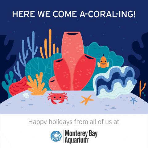 Christmas Caroling GIF by Monterey Bay Aquarium