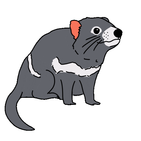 Here's what it's like renting in Australia’s capital cities — and how