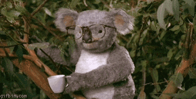 Surprised Coffee GIF
