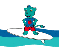 Surf Surfing Sticker by Veratour Spa
