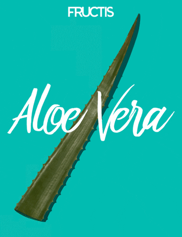 Aloe Vera Hair GIF by Garnier México