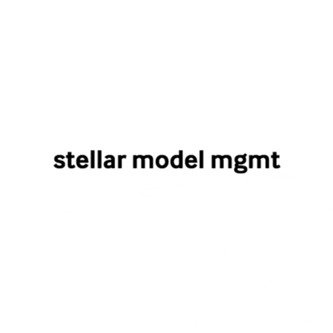 stellarscout stellarmodelswarsaw stellarmodelmanagement stellarboard stellarmodelmgmtwarsaw GIF