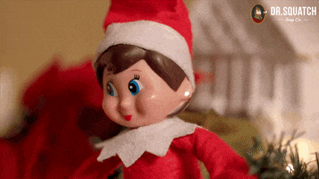 Shocked Elf On The Shelf GIF by DrSquatch