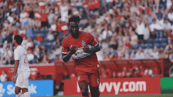 happy chicago fire GIF by Chicago Fire Soccer Club