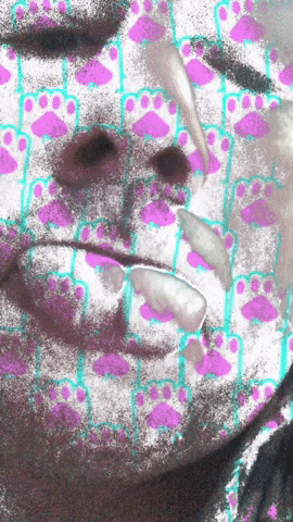 Paws GIF