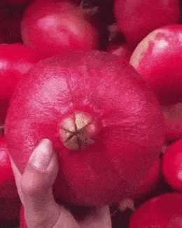 Pomegranate meme gif