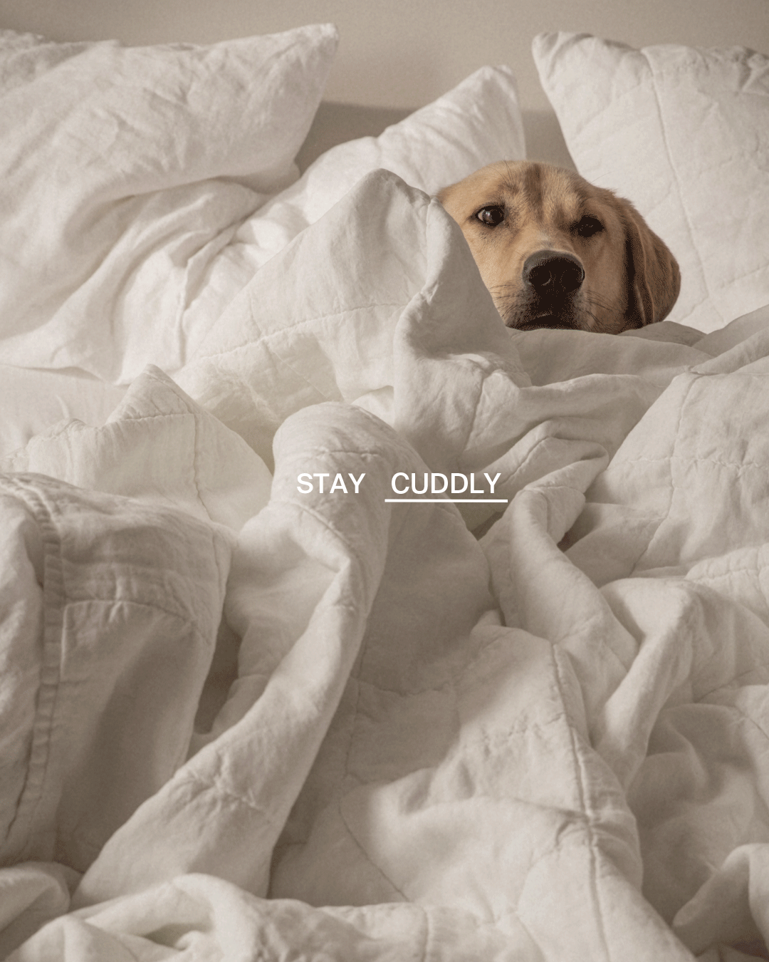 Parachute GIF Find & Share on GIPHY